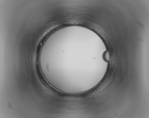 X0000113890722200910151334