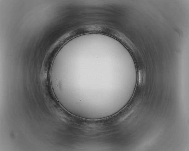 X0000113890723200910151334