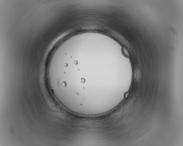 X0000113890724200910151334