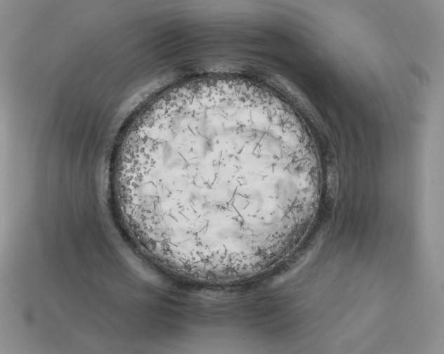 X0000113890725200910151334