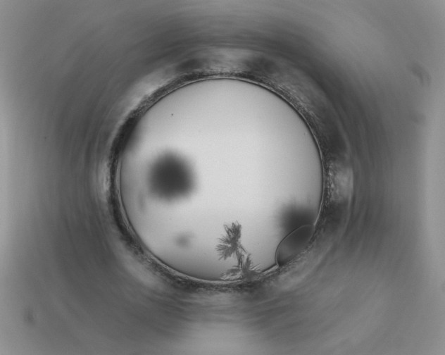 X0000113890726200910151334