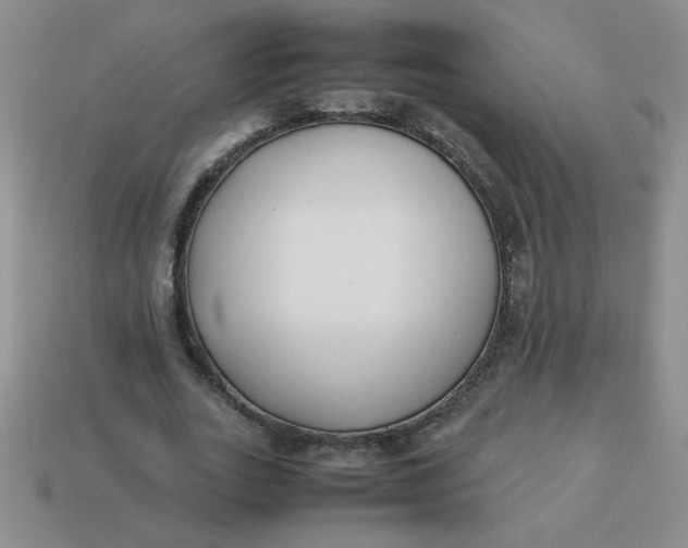 X0000113890727200910151334