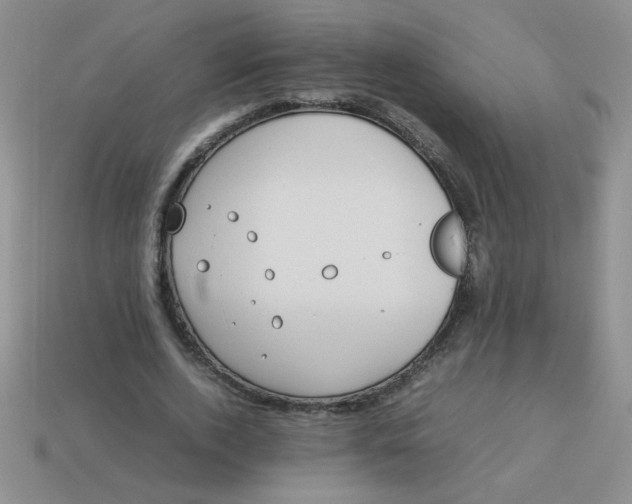 X0000113890728200910151334