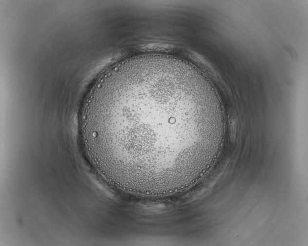 X0000113890729200910151334