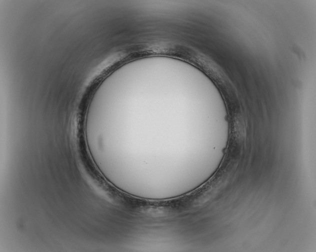 X0000113890730200910151334
