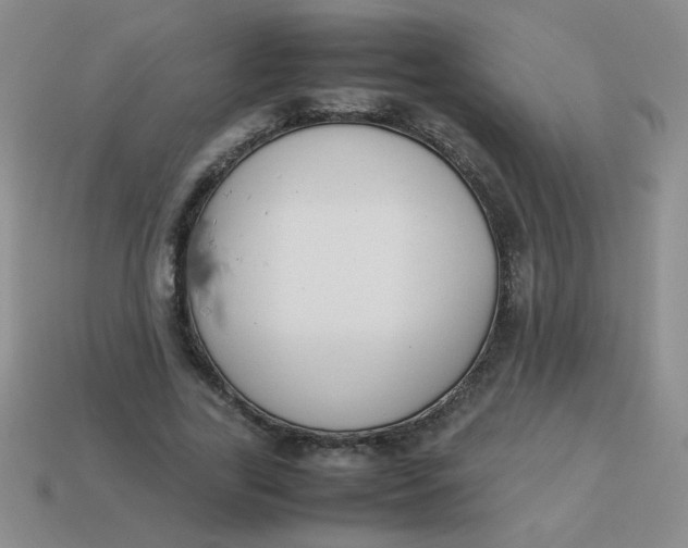 X0000113890731200910151334