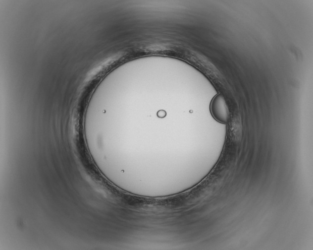 X0000113890732200910151334