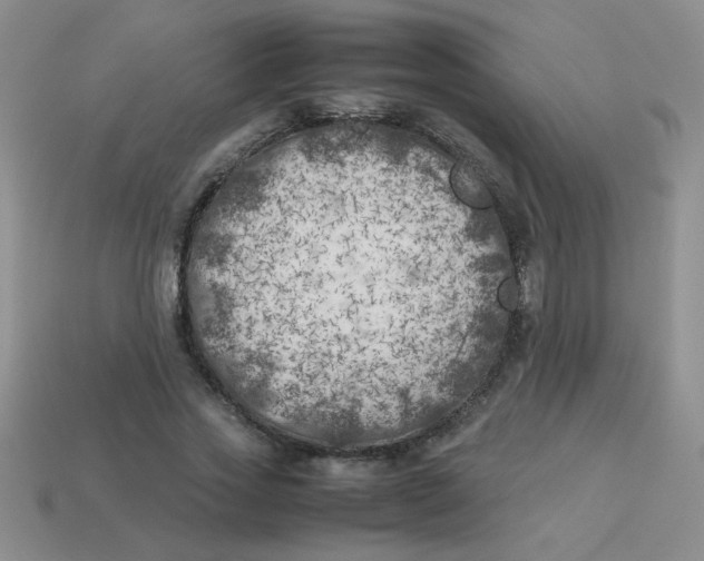X0000113890733200910151334