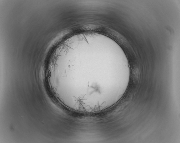 X0000113890734200910151334