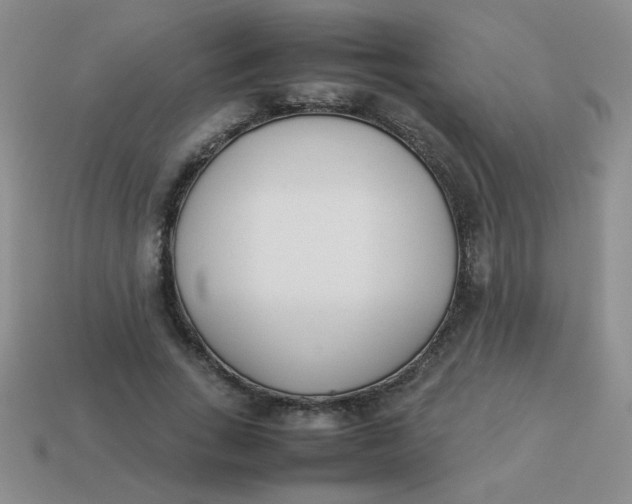 X0000113890735200910151334