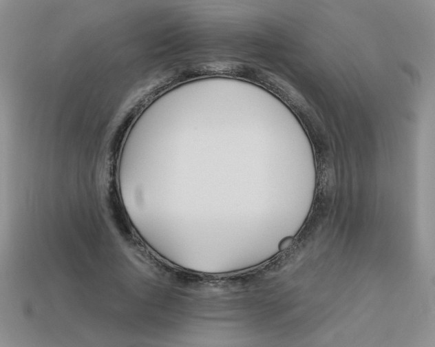 X0000113890736200910151334