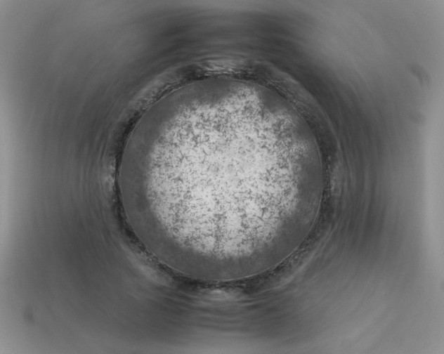 X0000113890737200910151334