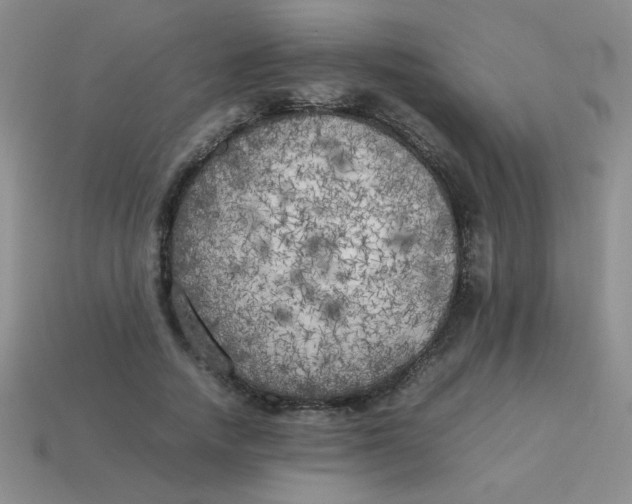 X0000113890738200910151334