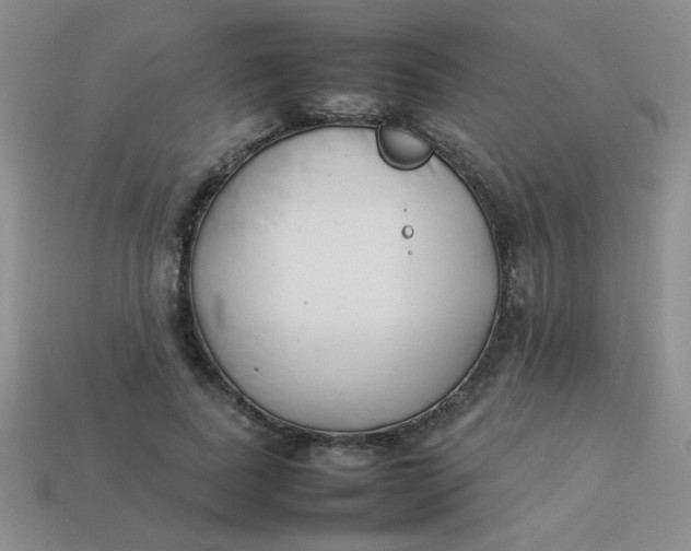 X0000113890739200910151334