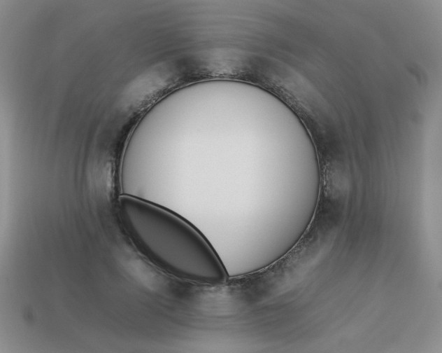 X0000113890740200910151334