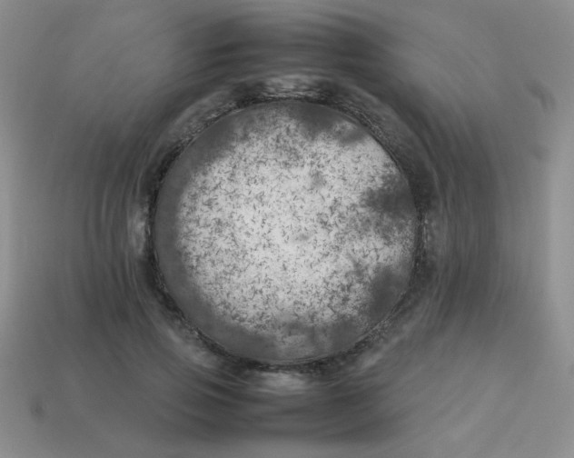 X0000113890741200910151334