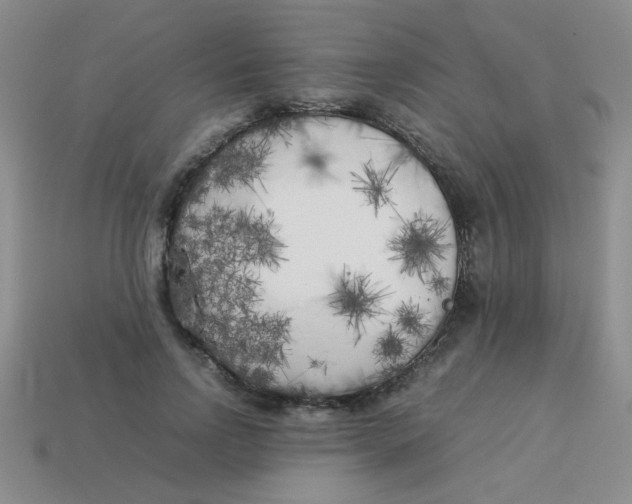 X0000113890742200910151334