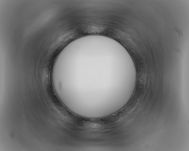 X0000113890743200910151334