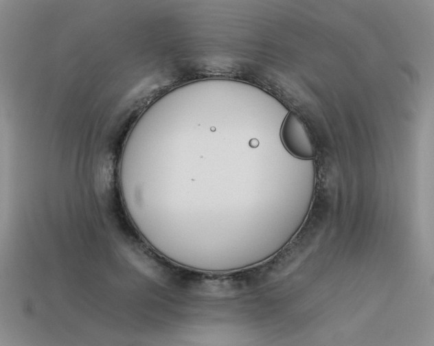 X0000113890744200910151334
