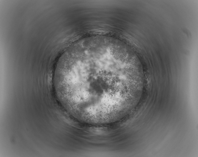 X0000113890745200910151334