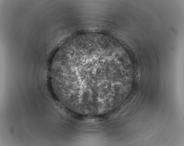 X0000113890746200910151334