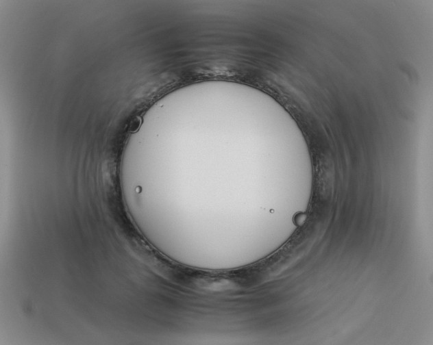 X0000113890747200910151334