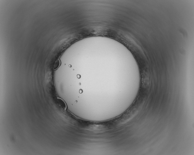 X0000113890748200910151334