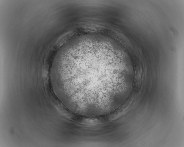 X0000113890749200910151334