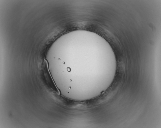 X0000113890750200910151334