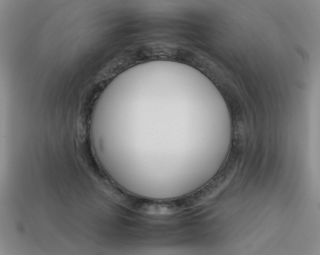X0000113890751200910151334