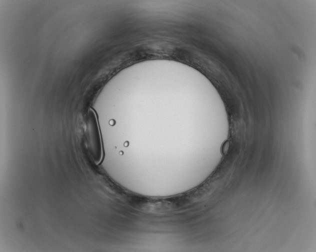 X0000113890752200910151334