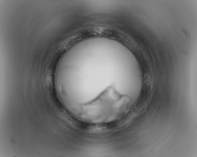 X0000113890754200910151334