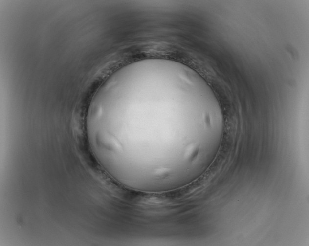 X0000113890755200910151334
