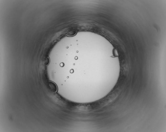 X0000113890756200910151334