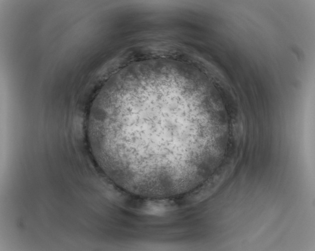 X0000113890757200910151334