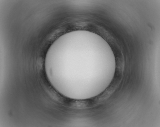 X0000113890758200910151334