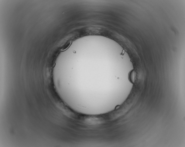 X0000113890759200910151334