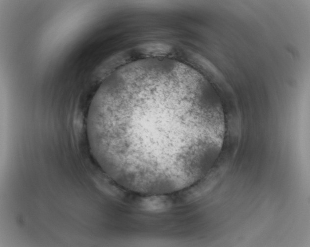 X0000113890761200910151334