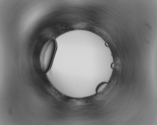 X0000113890763200910151334