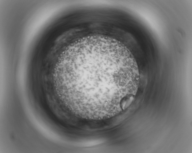 X0000113890765200910151334