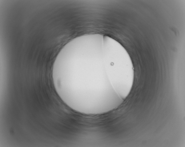 X0000113890768200910151334