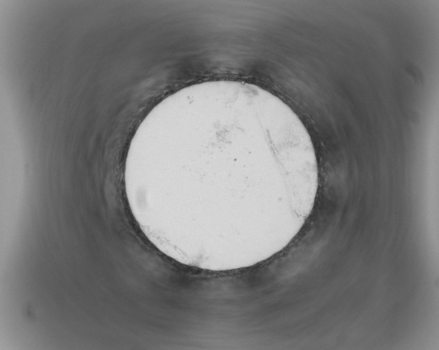 X0000113890769200910151334