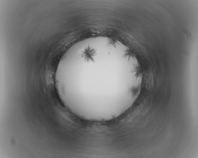 X0000113890770200910151334