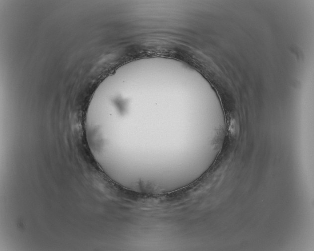 X0000113890771200910151334