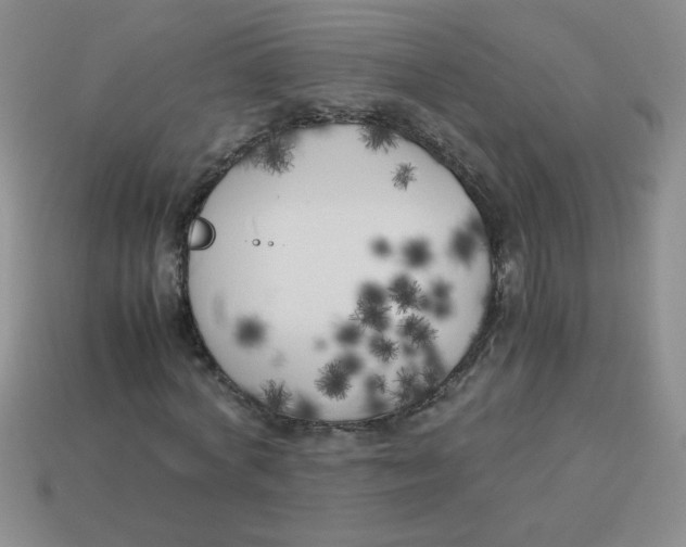X0000113890772200910151334