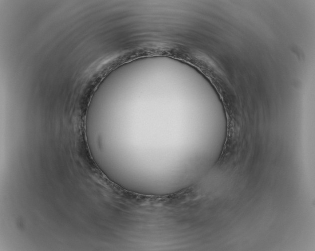 X0000113890773200910151334