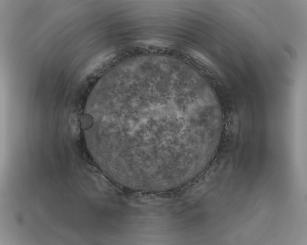 X0000113890774200910151334