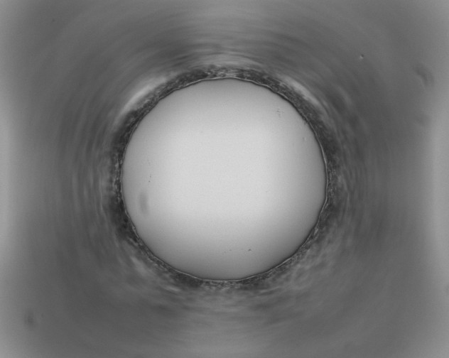 X0000113890775200910151334