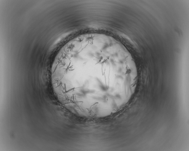 X0000113890776200910151334