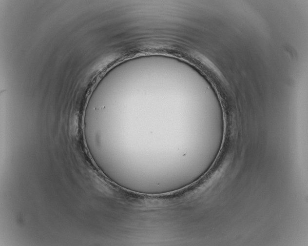 X0000113890777200910151334